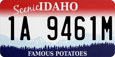 ID license plate 1A9461M