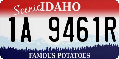 ID license plate 1A9461R