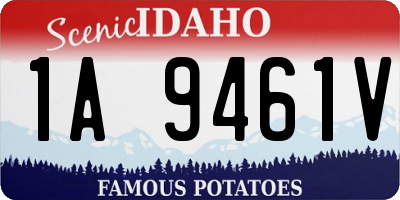 ID license plate 1A9461V