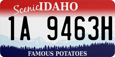 ID license plate 1A9463H