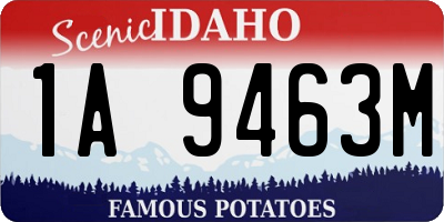 ID license plate 1A9463M