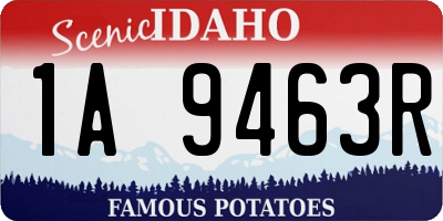 ID license plate 1A9463R