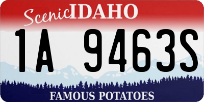 ID license plate 1A9463S