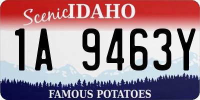 ID license plate 1A9463Y