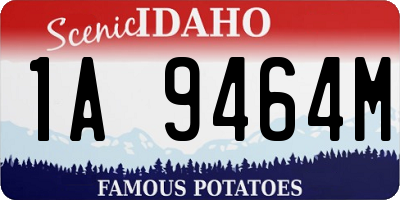 ID license plate 1A9464M