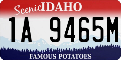 ID license plate 1A9465M