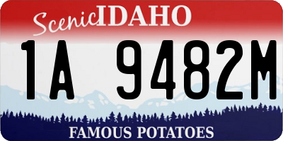 ID license plate 1A9482M