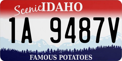 ID license plate 1A9487V