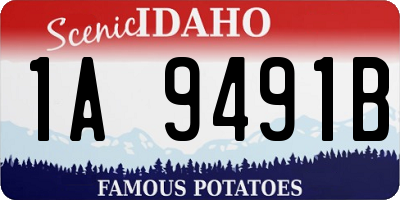 ID license plate 1A9491B