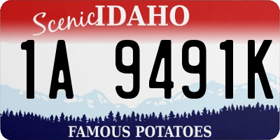 ID license plate 1A9491K
