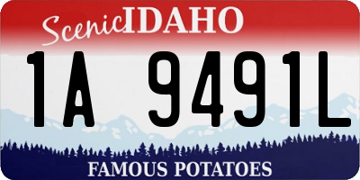 ID license plate 1A9491L