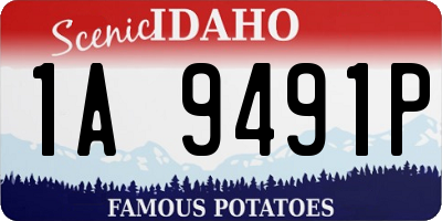 ID license plate 1A9491P