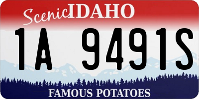 ID license plate 1A9491S