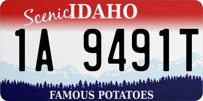 ID license plate 1A9491T