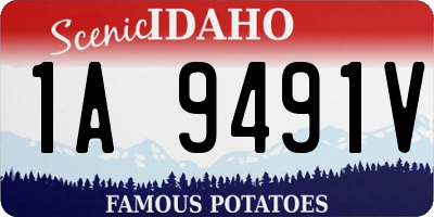ID license plate 1A9491V