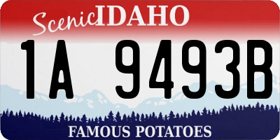 ID license plate 1A9493B