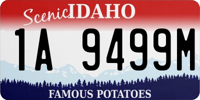 ID license plate 1A9499M