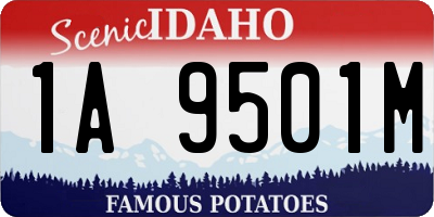 ID license plate 1A9501M