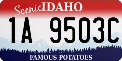 ID license plate 1A9503C