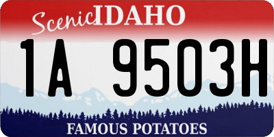 ID license plate 1A9503H