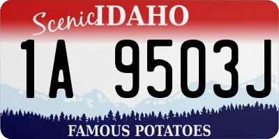 ID license plate 1A9503J