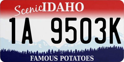 ID license plate 1A9503K
