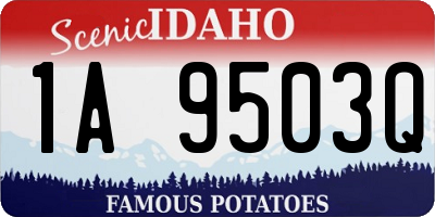 ID license plate 1A9503Q