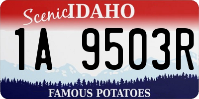 ID license plate 1A9503R
