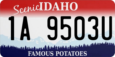 ID license plate 1A9503U