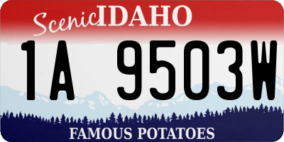 ID license plate 1A9503W