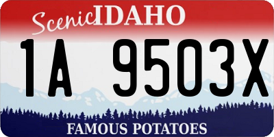 ID license plate 1A9503X
