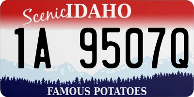 ID license plate 1A9507Q