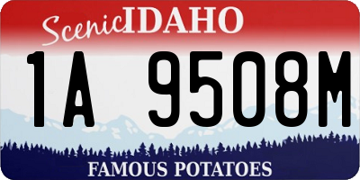 ID license plate 1A9508M