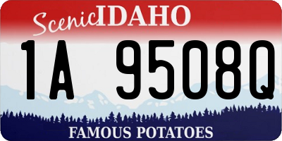 ID license plate 1A9508Q