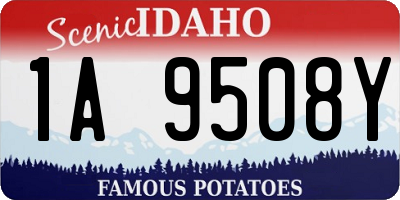 ID license plate 1A9508Y