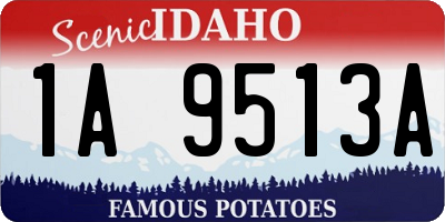 ID license plate 1A9513A