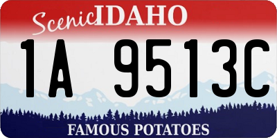 ID license plate 1A9513C