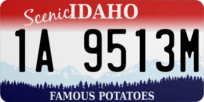 ID license plate 1A9513M