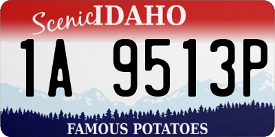 ID license plate 1A9513P