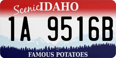 ID license plate 1A9516B