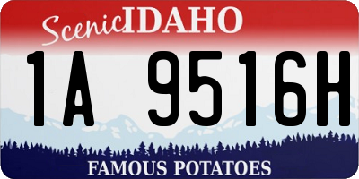 ID license plate 1A9516H