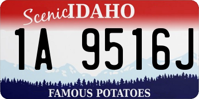 ID license plate 1A9516J