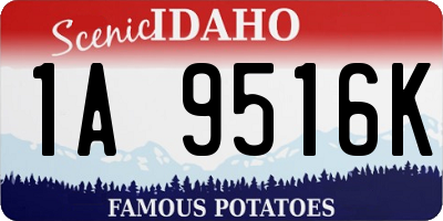 ID license plate 1A9516K