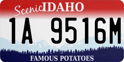 ID license plate 1A9516M