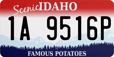 ID license plate 1A9516P