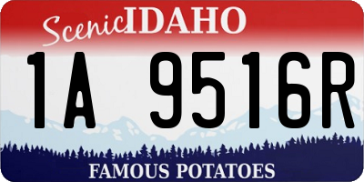 ID license plate 1A9516R