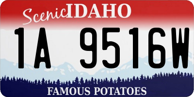 ID license plate 1A9516W