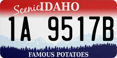 ID license plate 1A9517B