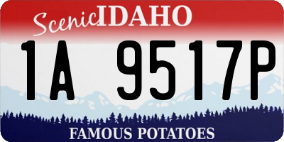 ID license plate 1A9517P