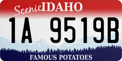 ID license plate 1A9519B